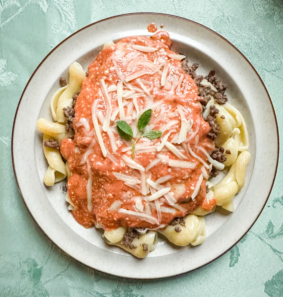A plate with noodles, ground beef. cream cheese pasta sauce, cheese, and fresh oregano.