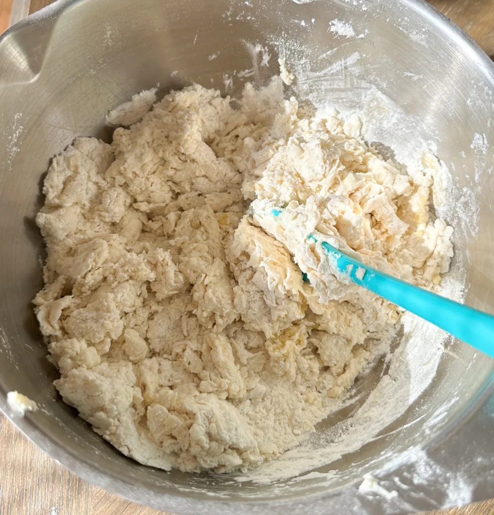 A mixing bowl with a shaggy naan dough and a mixing spoon.