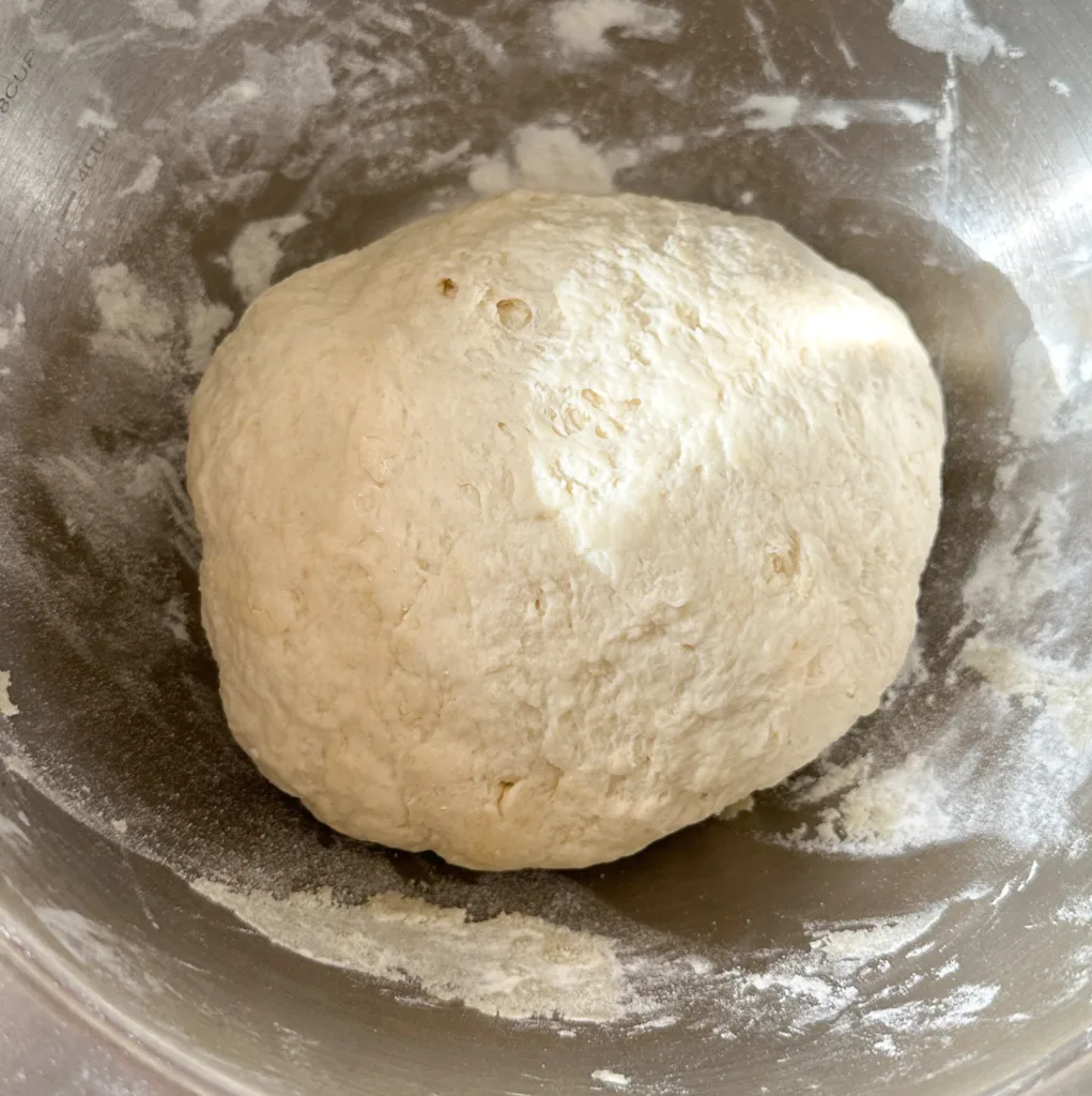 A ball of naan dough in a mixing bowl.